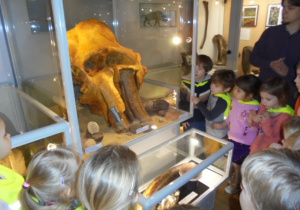 grupka dzieci ogląda czaszkę mamuta