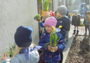 dzieci trzymają kwiaty do przesadzenia