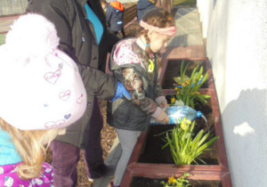 dziewczynki podlewają rośliny