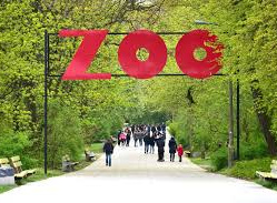 Nie możesz iść do ZOO? ZOO przyjdzie do ciebie!