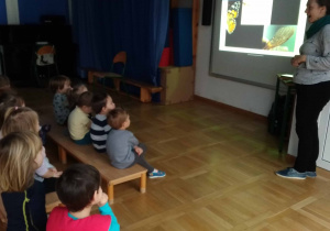 Pani na podstawie prezentacji opowiada dzieciom o motylach, dzieci siedzą na ławkach i słuchają