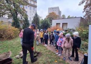 Sadzenie migdałowego drzewa