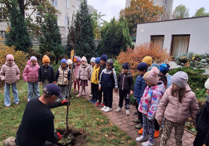 Sadzenie migdałowego drzewa