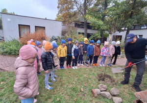 Sadzenie migdałowego drzewa