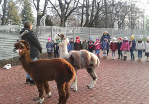 grupa stoi w ogródku