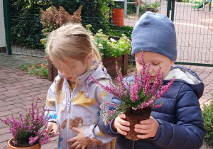 Dzieci sadzą wrzosy