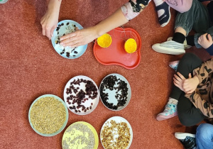 Przygotowanie przysmaków dla ptaków