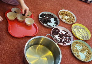 Przygotowanie przysmaków dla ptaków