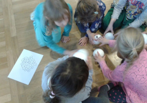 dziewczynki układają model skrzeku płazów