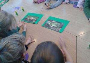 dzieci oglądają złożone zdjęcia płazów