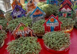 Domki z ogródkiem z rzeżuchy