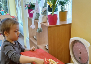 Chłopiec przekłada pokrojone jabłka do multicoocera